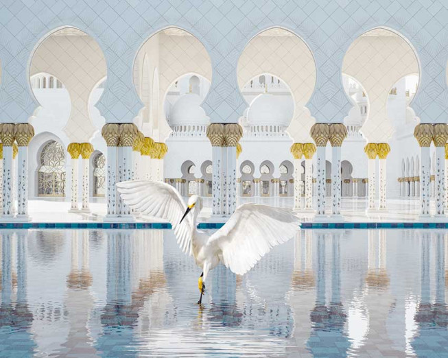 Karen Knorr, The Way of Ishq, Grand Mosque, Abu Dhabi, 2019, Courtesy Galerie Les filles du calvaire, Paris