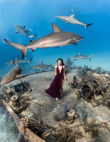 , Elle pose à 40 mètres de profondeur entourée de requins, voici les coulisses de ces photos incroyables
